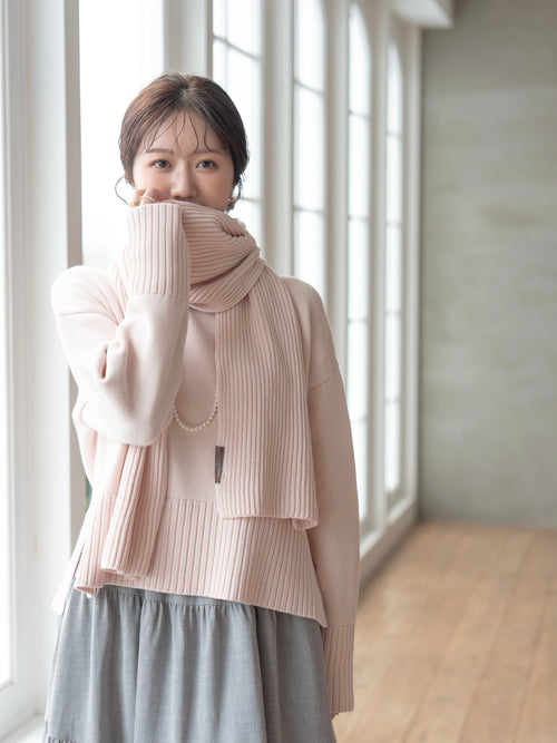 モデル画像