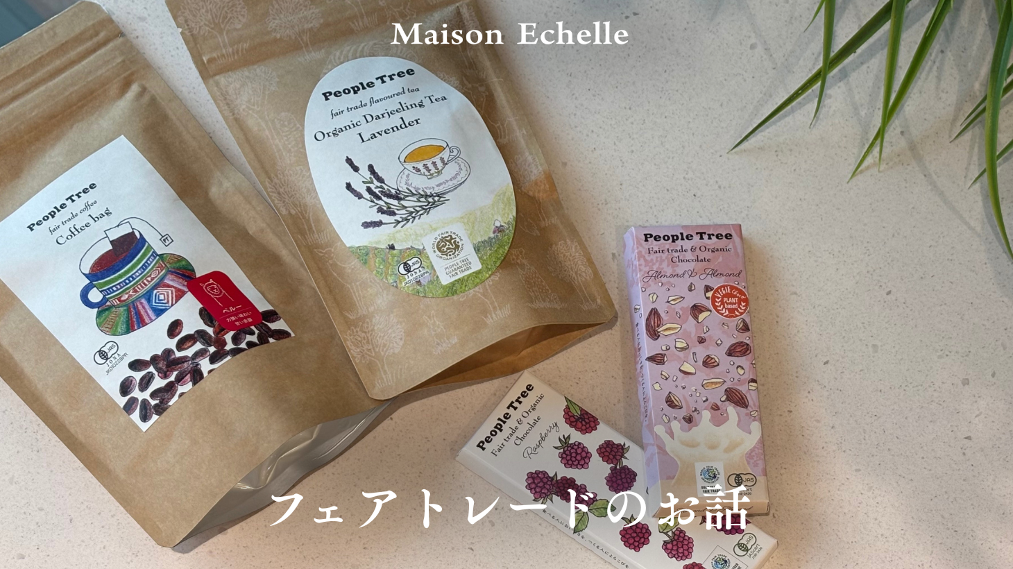 甘さの裏にある、苦い現実