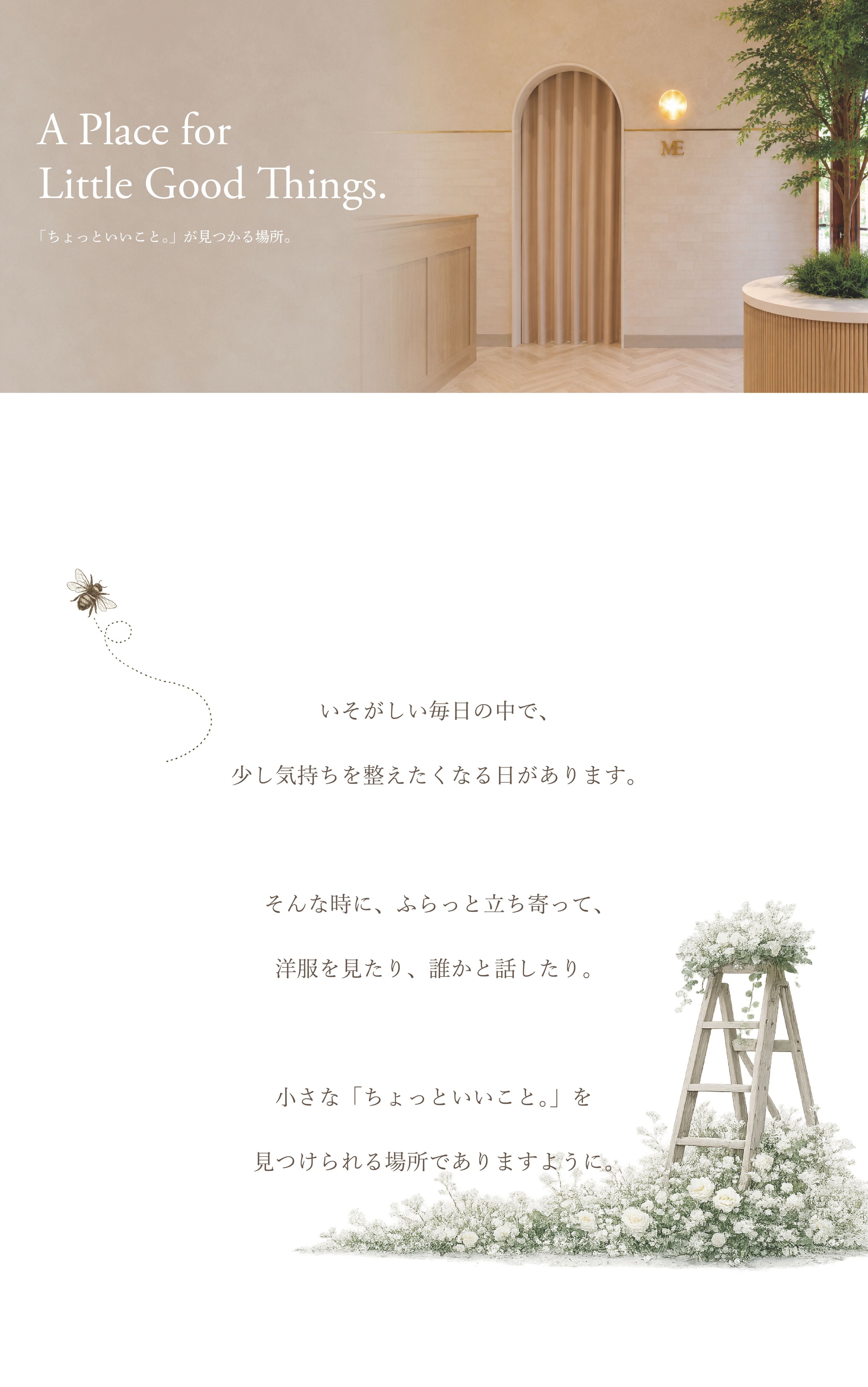 Maison Echelle STORE