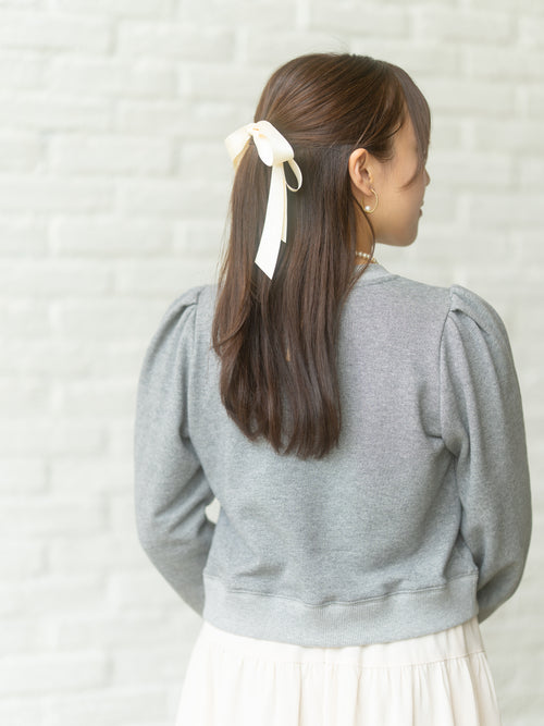 モデル画像