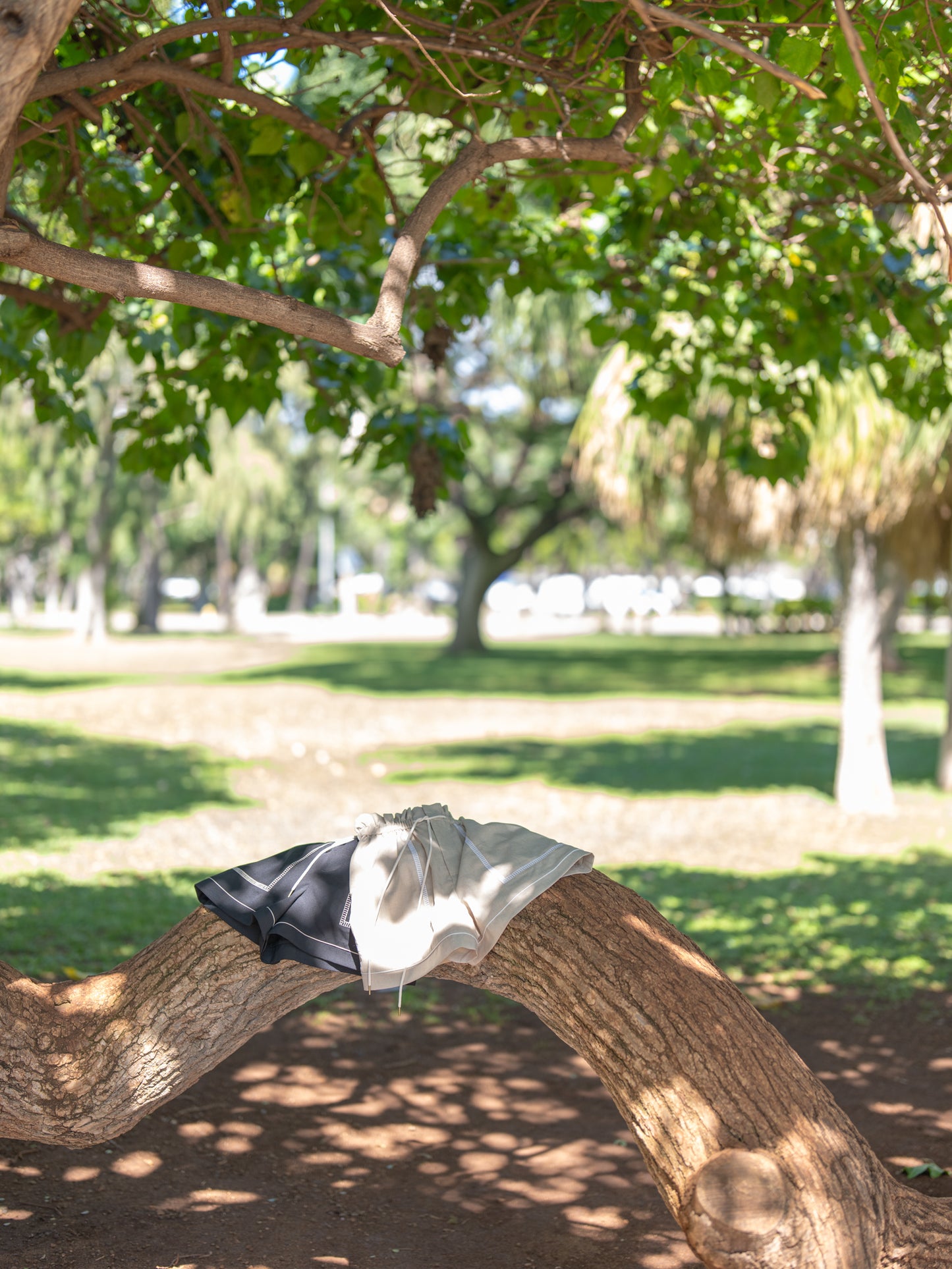 ハシゴレースリラックスショートパンツ【リサイクルポリエステル】