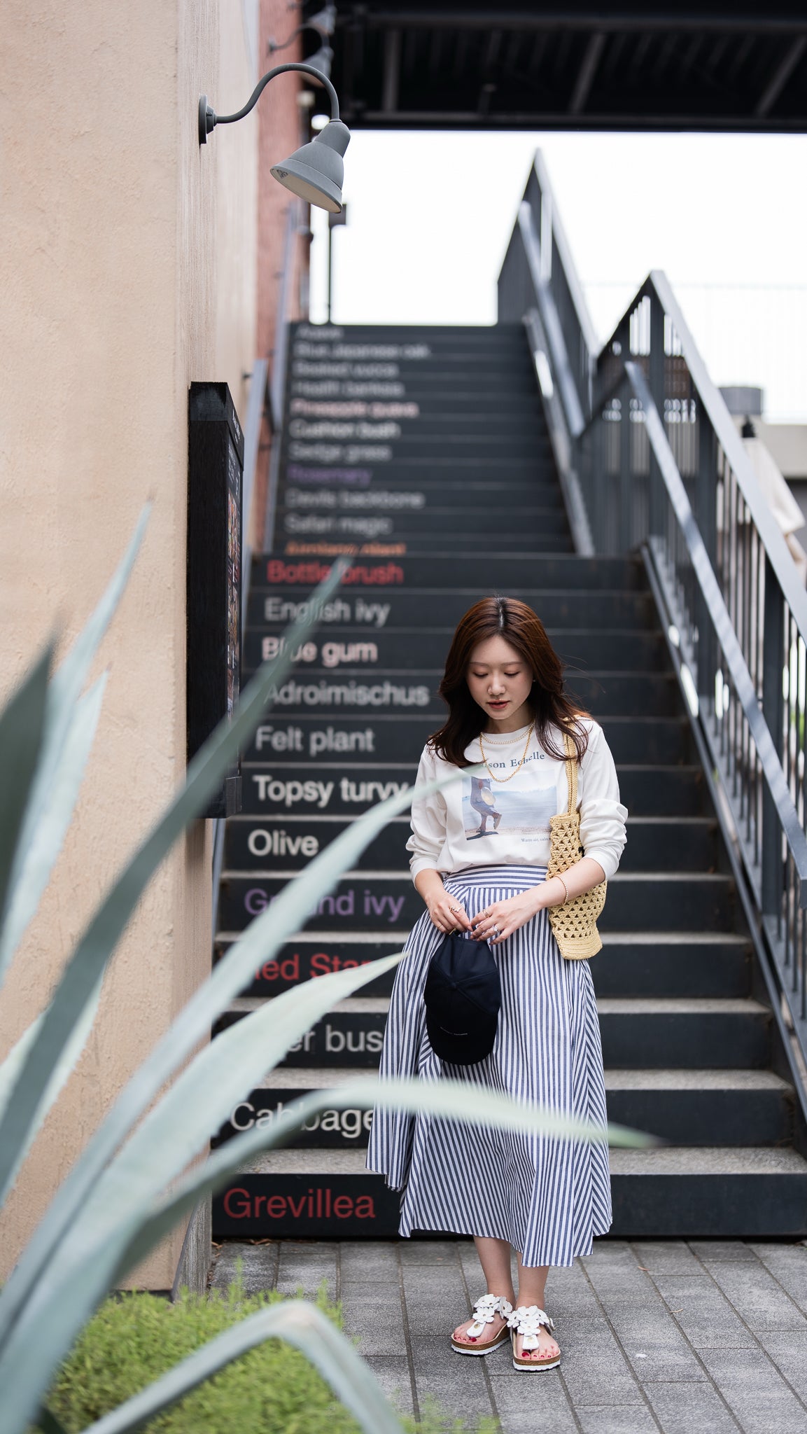 Hawaii Photo Long Tee【COOLMAX®】